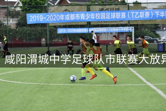 咸阳渭城中学足球队市联赛大放异彩 女子组摘金男子组夺银