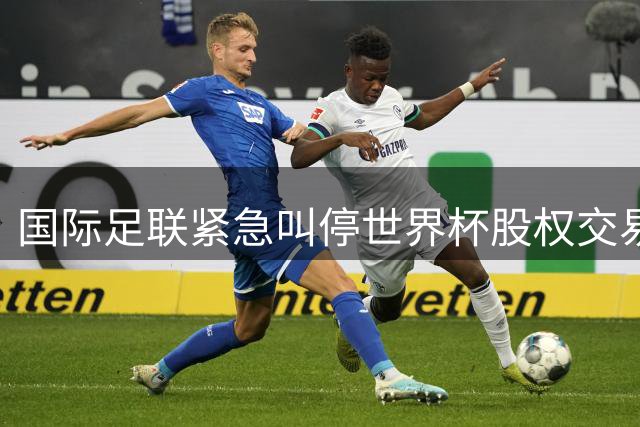 国际足联紧急叫停世界杯股权交易 足球界传奇巴雷西溘然长逝